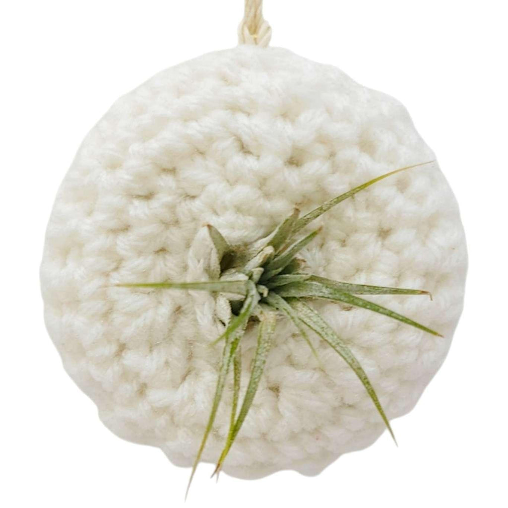 Ornament - Yarnicle Pod (White) by World of Whimm