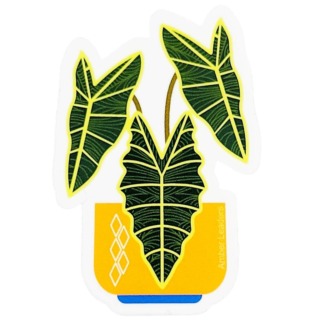 Sticker - Alocasia Amazonica by Amber Leaders Designs