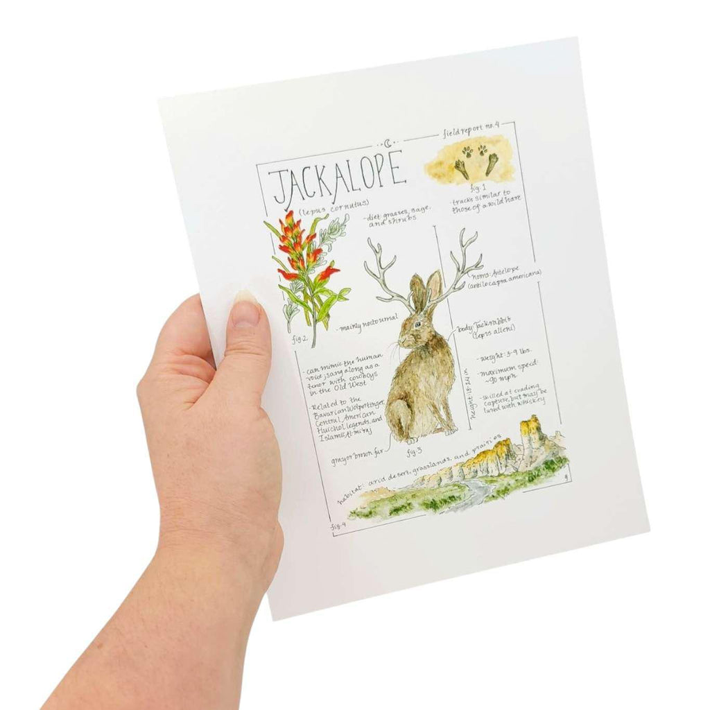 Art Print - 8x10 - Jackalope Field Notes by Lizzy Gass