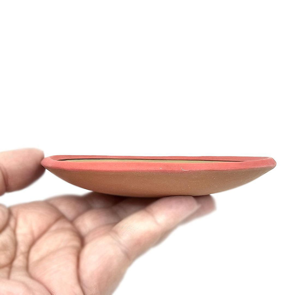 Ring Dish - 5in - Every Day Is Just One Day (Assorted Colors) by Leslie Jenner Handmade