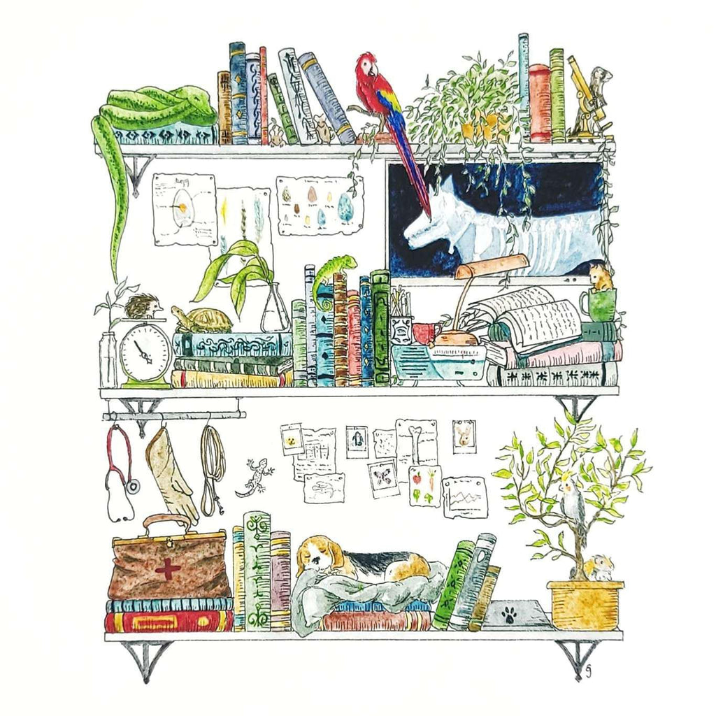 Art Print - 8x10 - The Veterinarian's Shelves by Lizzy Gass