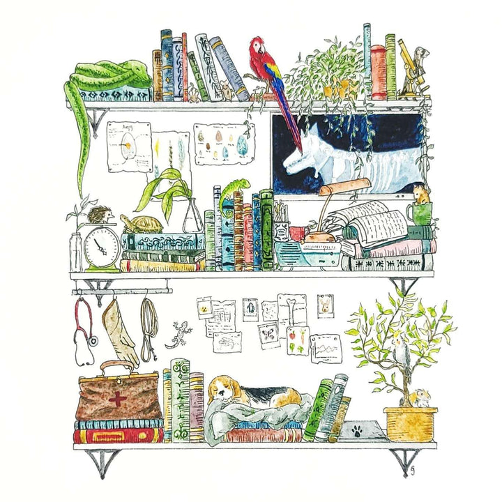 Art Print - 8x10 - The Veterinarian's Shelves by Lizzy Gass