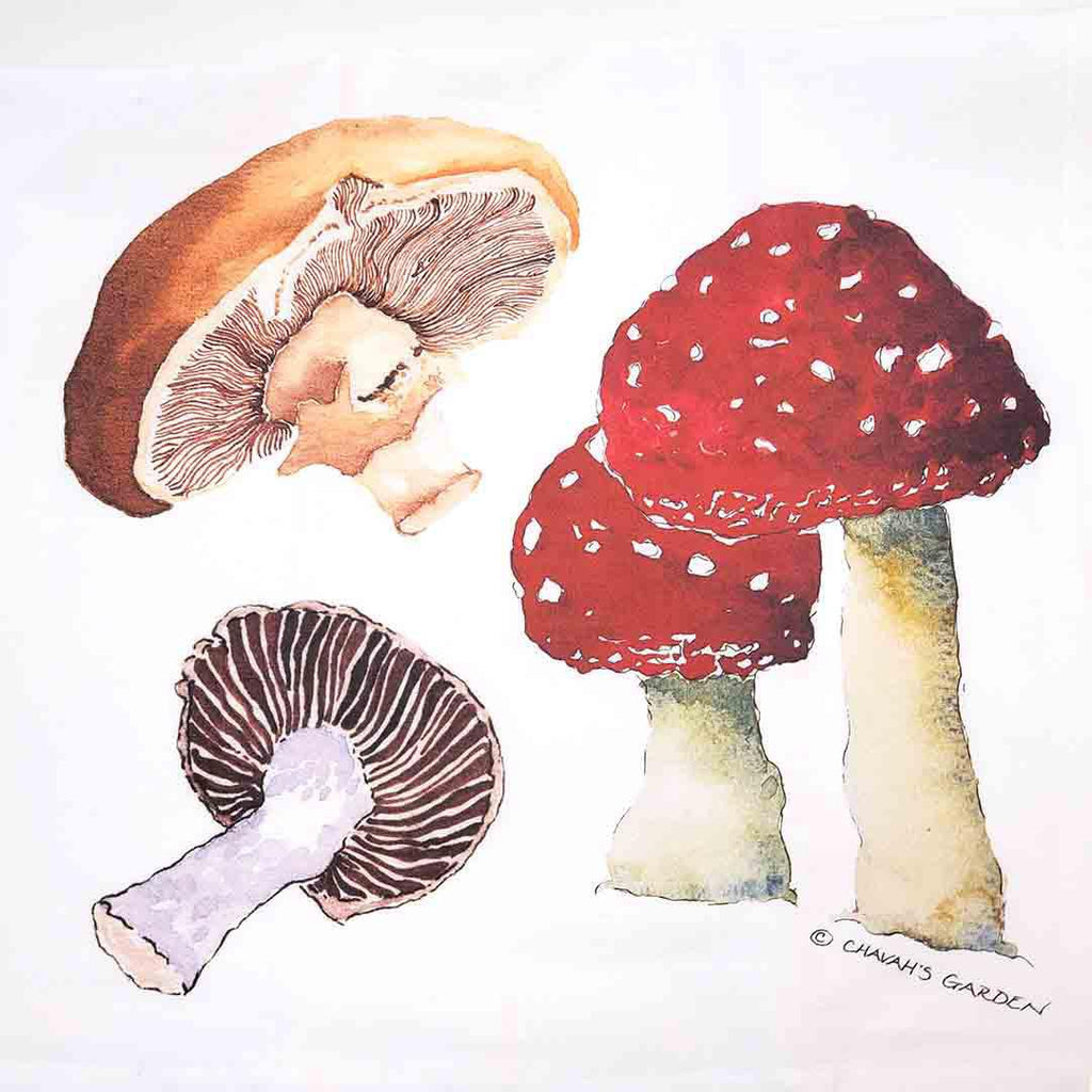 Tea Towel - Mushrooms by Chavah's Garden