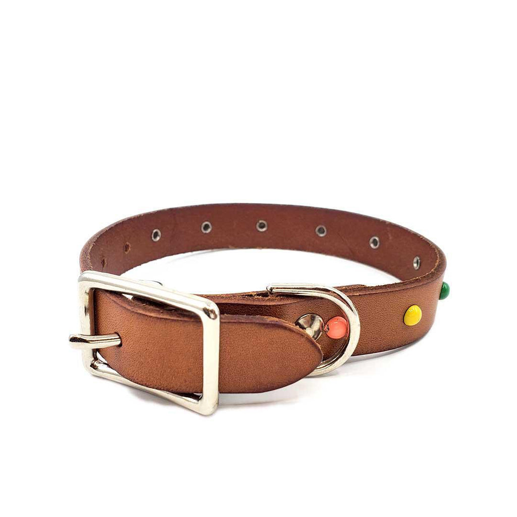 Dog Collar - S - Brown with Multicolor Studs by Greenbelts