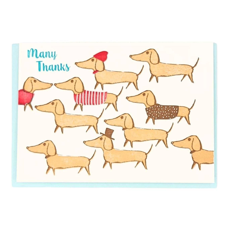 Card - Thank You - Dachshunds Many Thanks by Ilee Papergoods, image 1 of 2