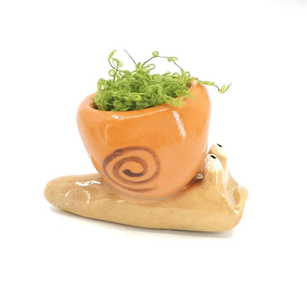 Collectible - Medium - Snail Tiny Planter  (Orange Swirl) by Joyce Chen