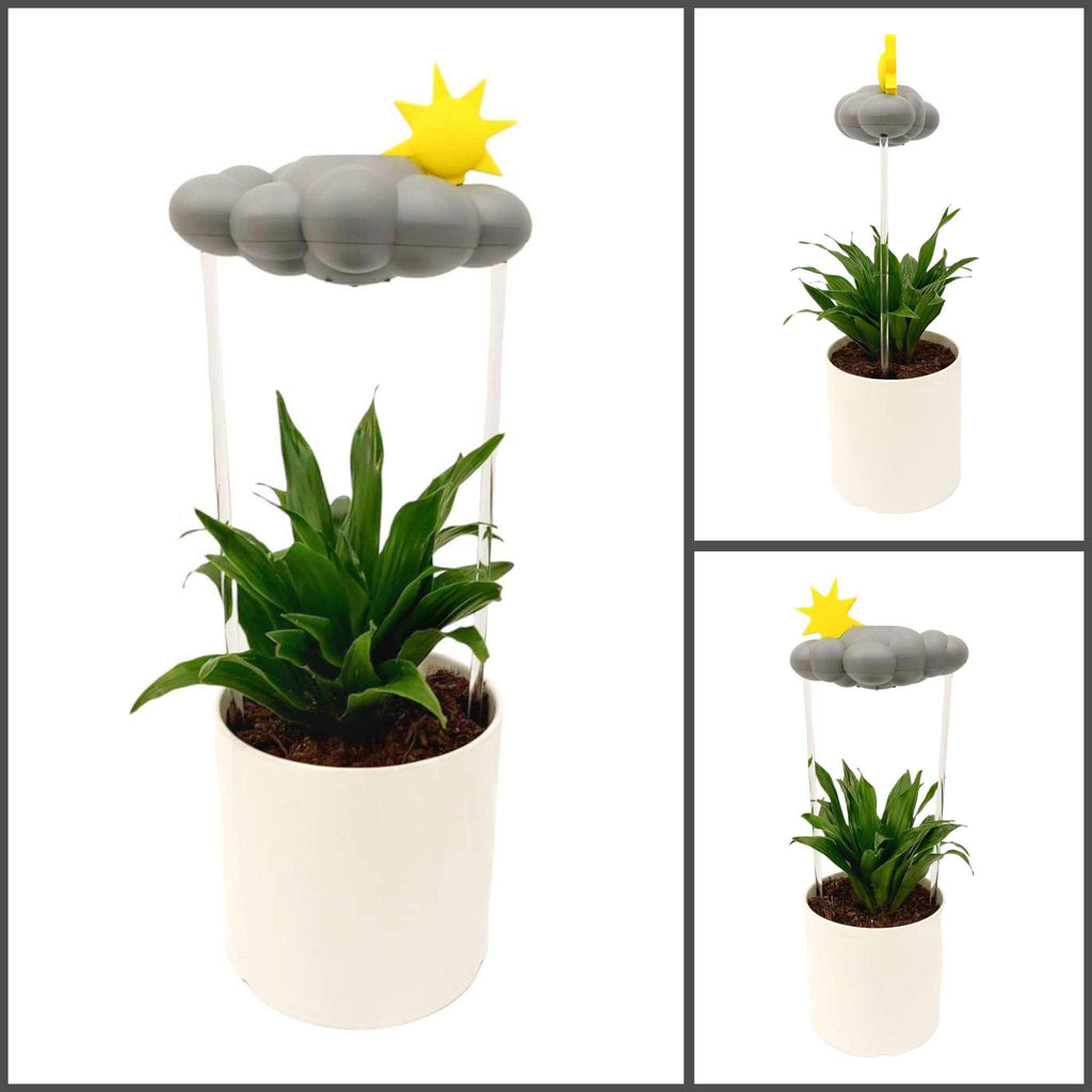 Bundle - Gray Cloud Plant Waterer with Choice of Charm by The Cloud Makers