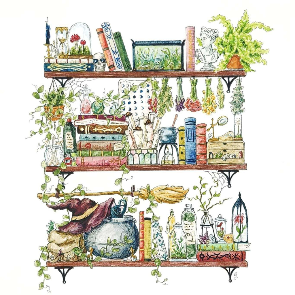 Art Print - 8x10 - The Witch's Shelves by Lizzy Gass