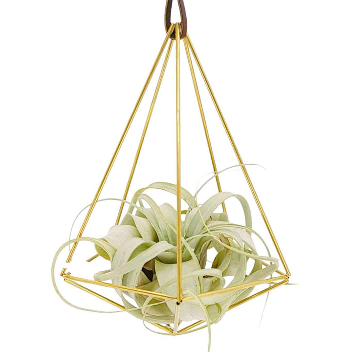 Home Decor - Himmeli (The Teardrop) by Hemleva