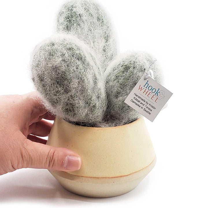 Extra Large Plush Cactus - Espostoa Melanostele Trio in Disc Pot by Hook And Wheel