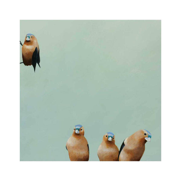 Wall Art - Fictional Finch Group on 10in x 10in Wood Panel by The Mincing Mockingbird