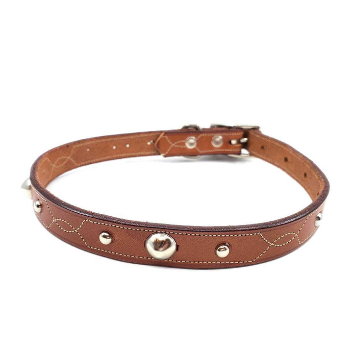 Dog Collar - M-L - Brown Stitch with Silver Studs by Greenbelts