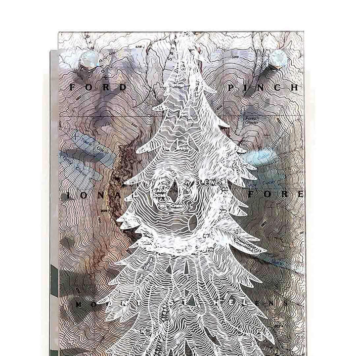 Wall Art - 6x16in - Pine Tree Mount Saint Helens Floating Frame Map by Modern Terrain