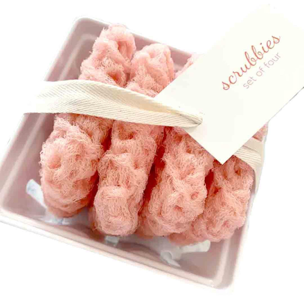 Scrubbies - Set of 4 in a Berry Basket Coral by Dot and Army