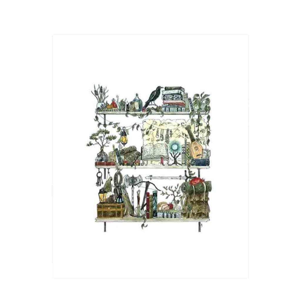 Art Print - 8x10 - The Adventurer's Shelves by Lizzy Gass