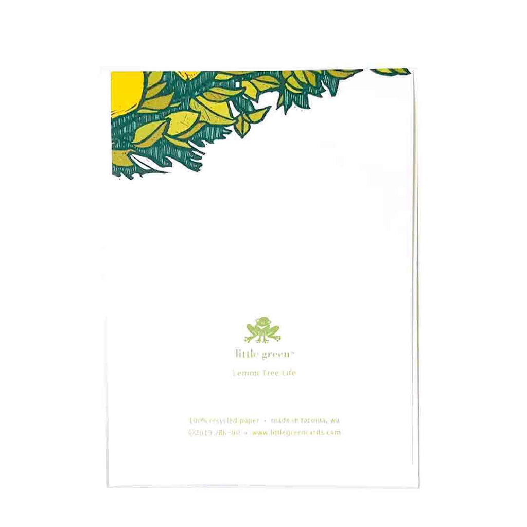 Card Set of 8 - Tropical Cards by Little Green