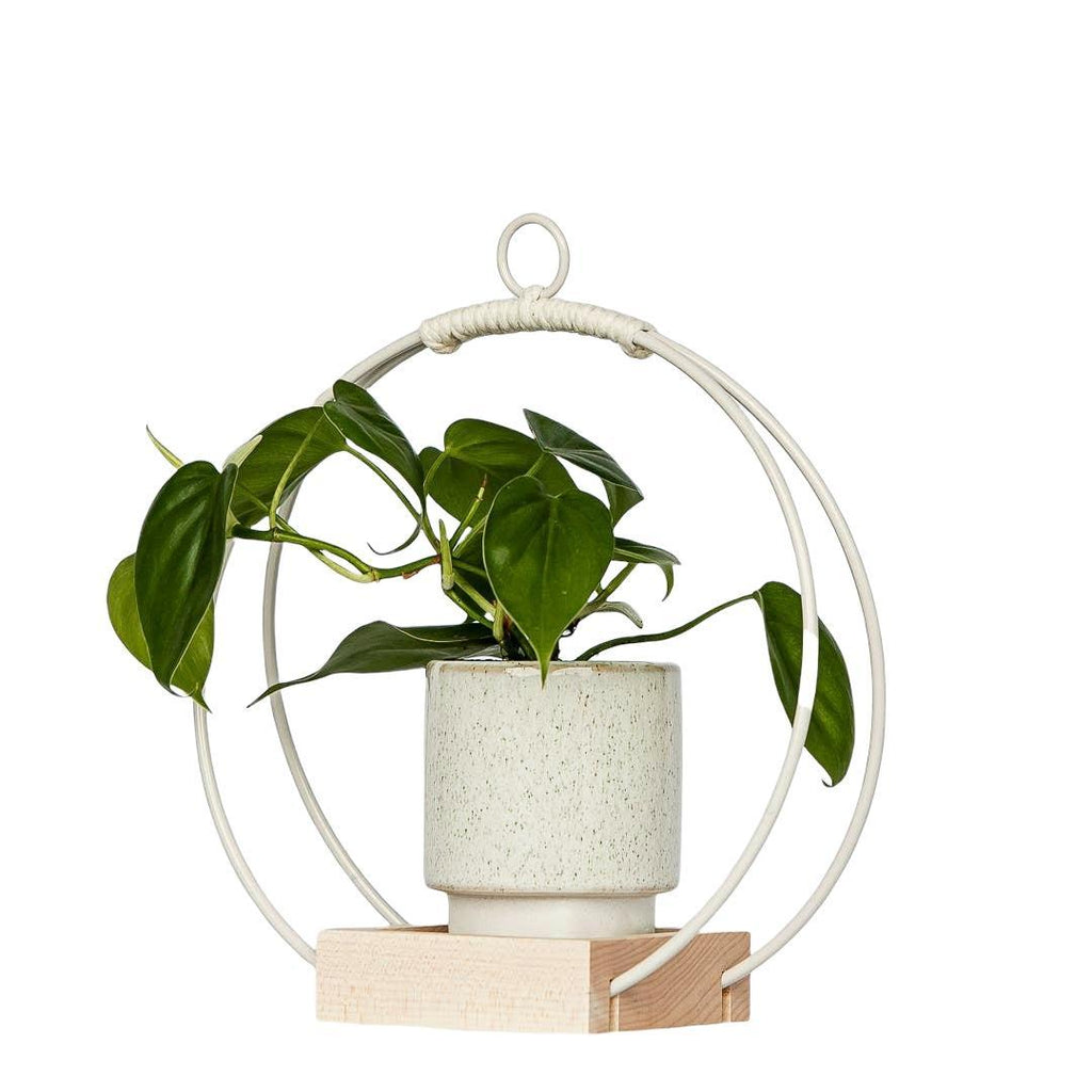 Plant Holder - Small Frosted White Steel and Maple by Braid & Wood