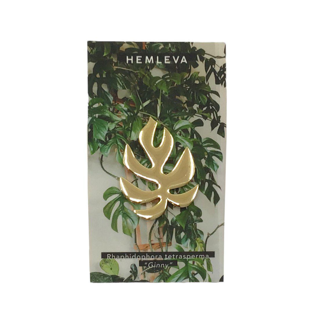 HEMLEVA MONSTERA DELICIOSA PIN