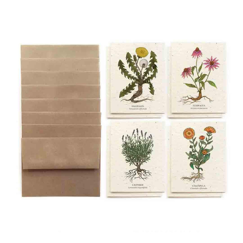 Card Set of 8 - Medicinal Plants Plantable Card Set by Small Victories (formerly The Bower Studio)