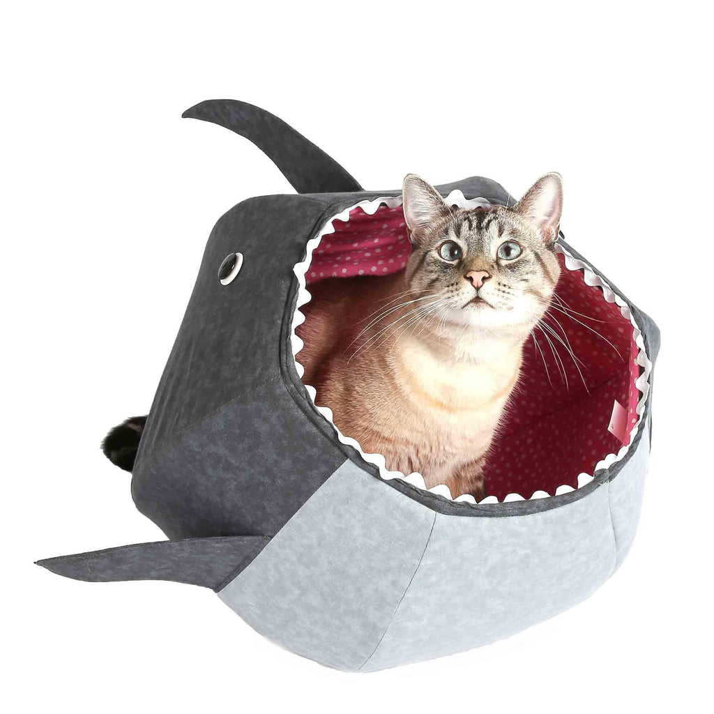 Special The Cat Ball - Shark by The Cat Ball