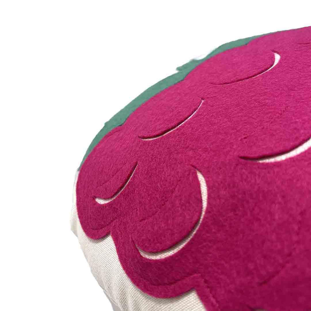 Pillow - Raspberry - Felt Applique on Canvas by Dirtsa Studio