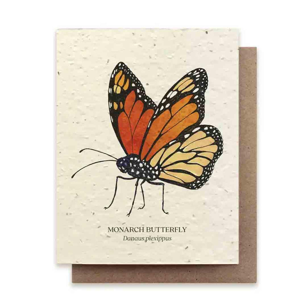 Card - Monarch Butterfly Plantable Herb Card by Small Victories (formerly The Bower Studio)