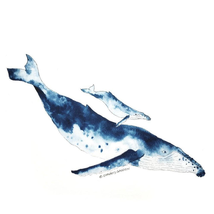 Tea Towel - Whales by Chavah's Garden