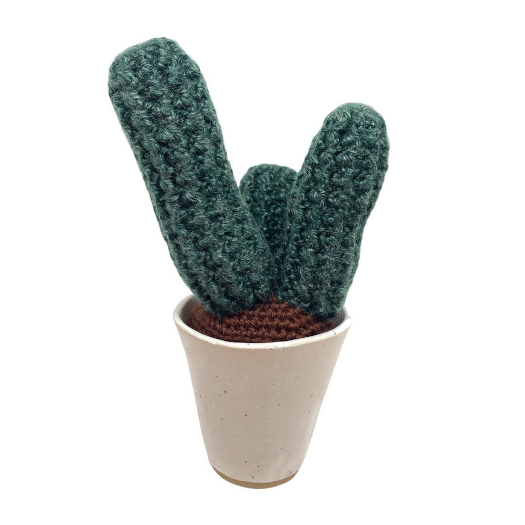 Large Plush Cactus - Pilosocereus Cactus Trio in Black White Pot by Hook And Wheel