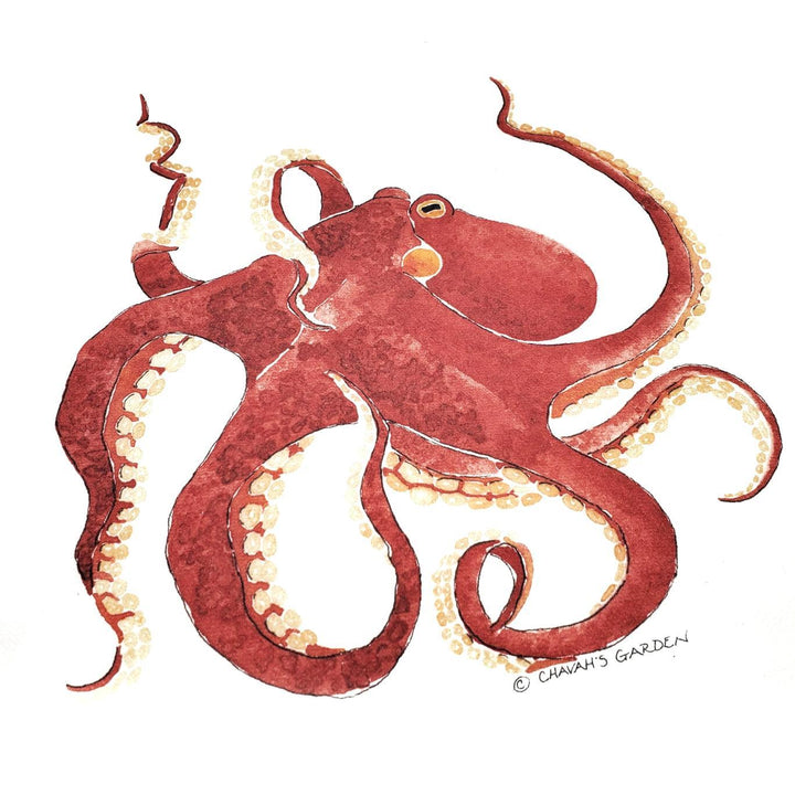 Tea Towel - Octopus by Chavah's Garden