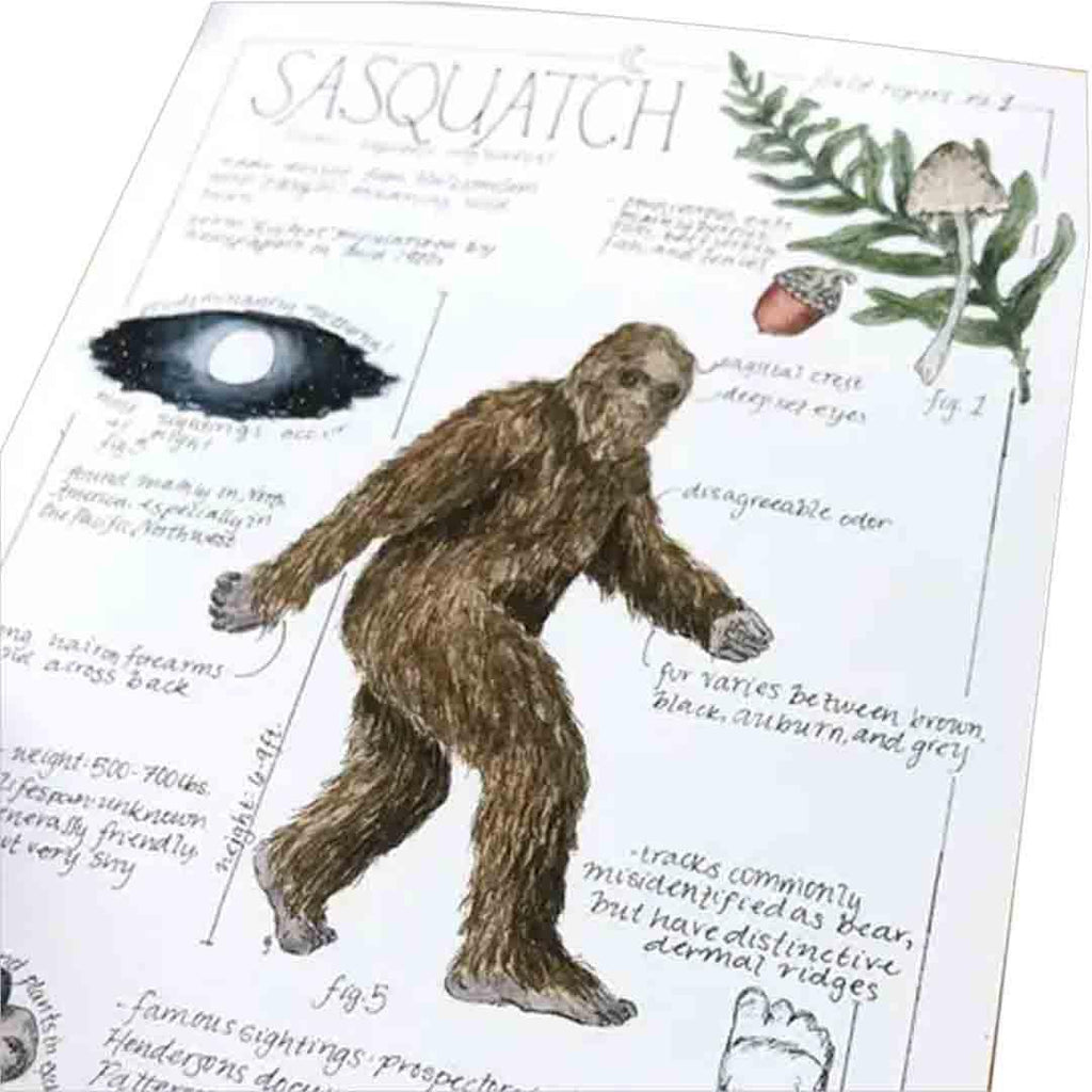Art Print - 8x10 - Sasquatch Bigfoot Field Notes by Lizzy Gass
