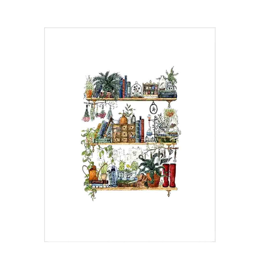 Art Print - 8x10 - The Botanist's Shelves by Lizzy Gass