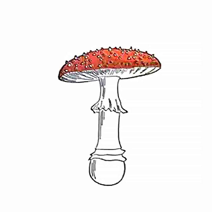 Card - Fly Agaric Amanita Mushroom Letterpress by Green Bird Press