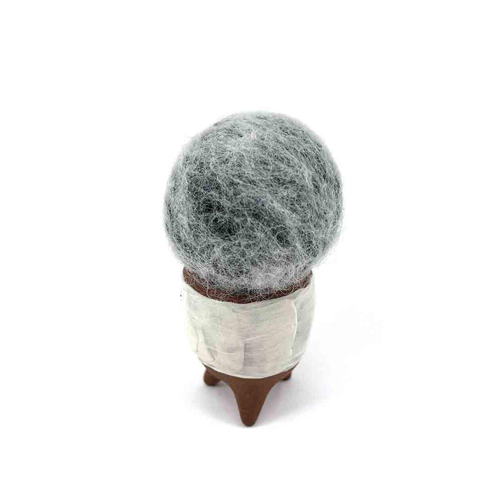 Small Plush Cactus - Espostoa Melanostele in White Accent Pot by Hook And Wheel