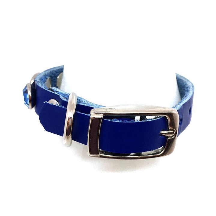 Dog Collar - XS-S - Blue with Multicolor Gems by Greenbelts