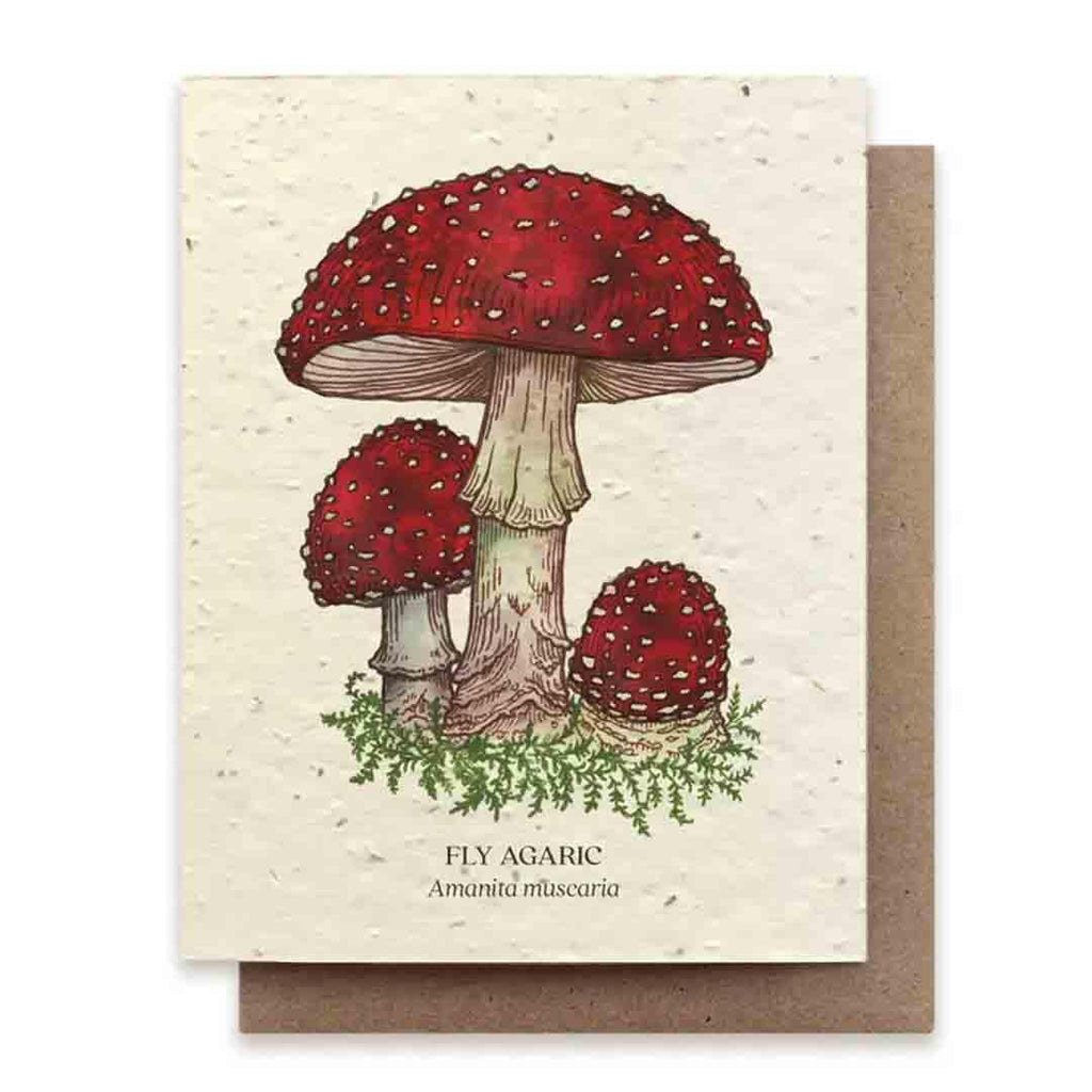 Card - Fly Agaric Mushroom Plantable Herb Card by Small Victories (formerly The Bower Studio)