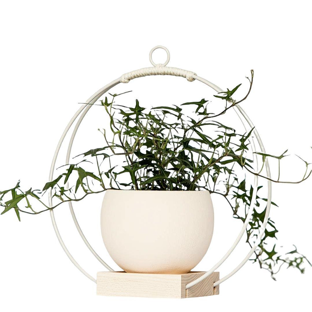 Plant Holder - Medium Frosted White Steel and Maple by Braid & Wood