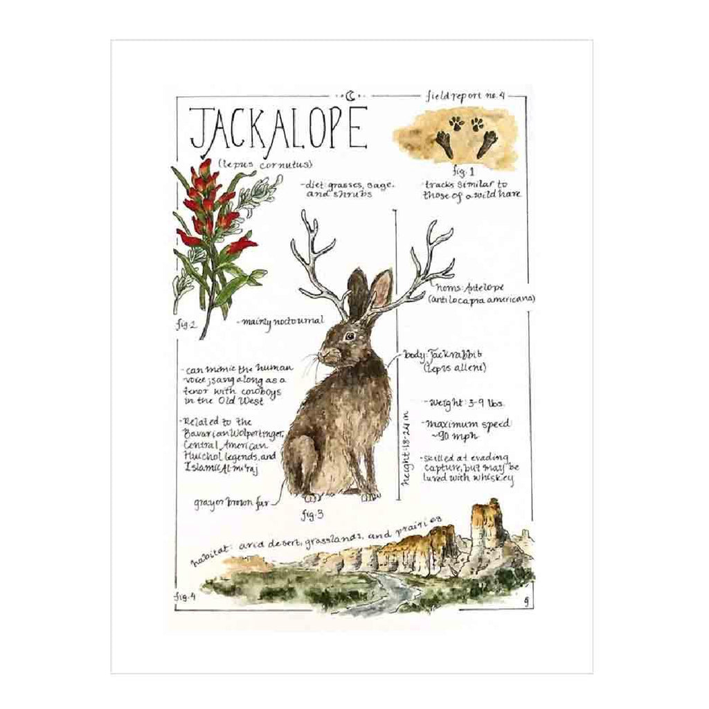 Art Print - 8x10 - Jackalope Field Notes by Lizzy Gass