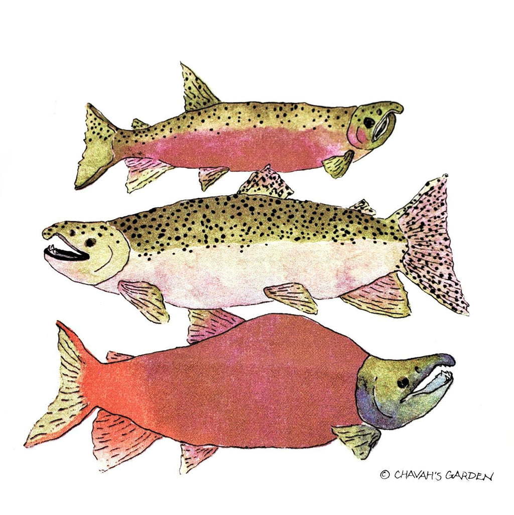Tea Towel - Salmon by Chavah's Garden