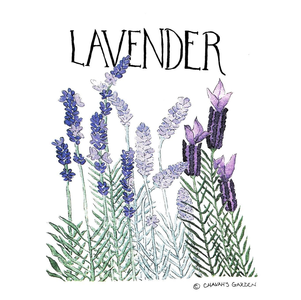 Tea Towel - Lavender by Chavah's Garden