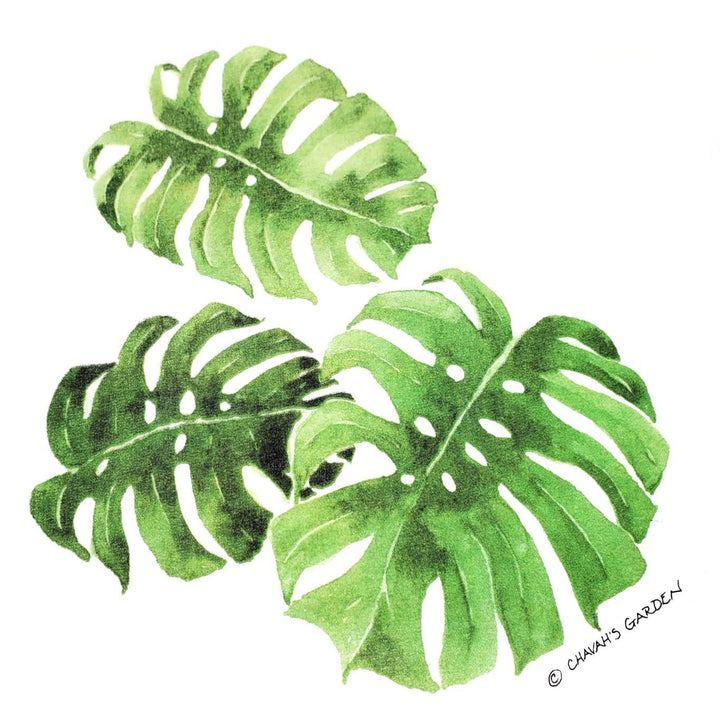 Tea Towel - Monstera by Chavah's Garden