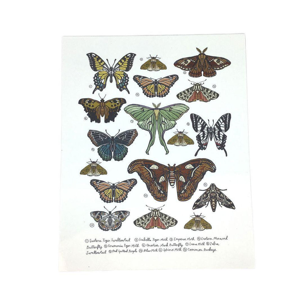 Print - Butterfly and Moth Wall Art by Root and Branch Paper Co.