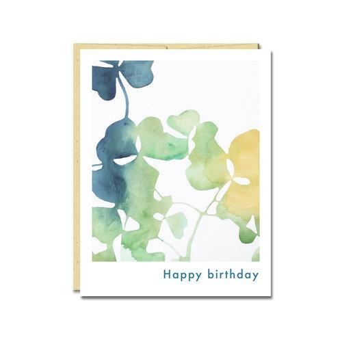 Card - Birthday - Oxalis by Rachel Austin Art