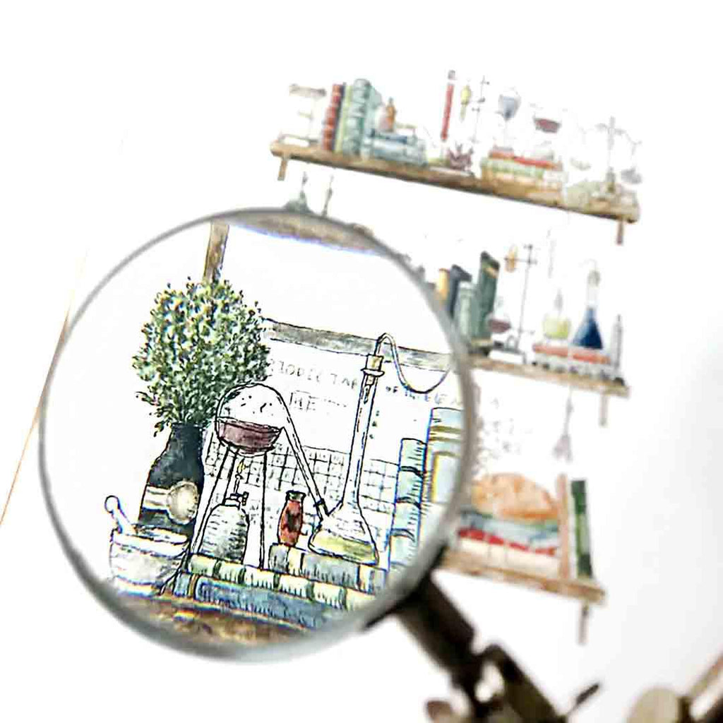 Art Print - 8x10 - The Chemist's Shelves by Lizzy Gass