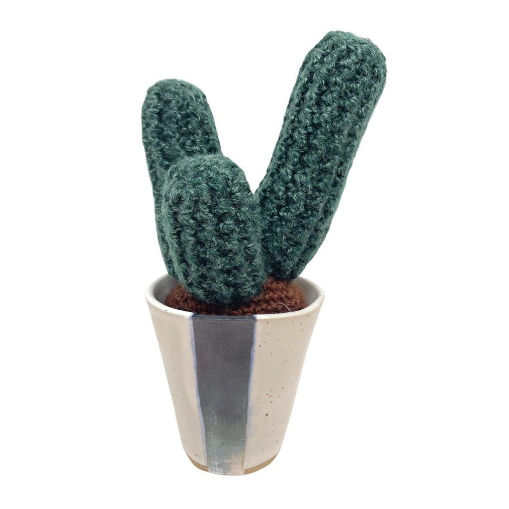 Large Plush Cactus - Pilosocereus Cactus Trio in Black White Pot by Hook And Wheel